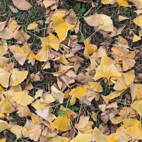 Gollum于2022-11-16 15:39发布的图片