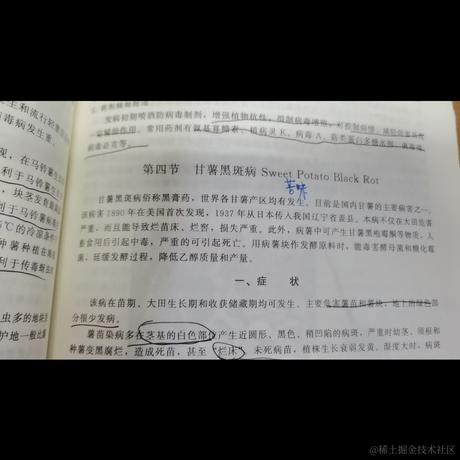 贝拉多嘉然芬奇于2023-06-25 08:40发布的图片