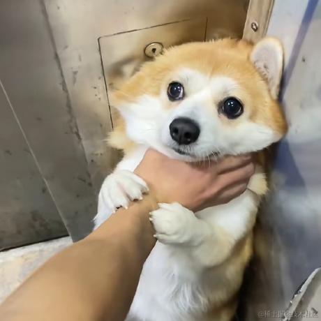 懿瑾于2022-11-13 18:33发布的图片