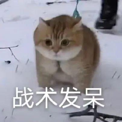 洛南宁于2022-12-25 11:17发布的图片