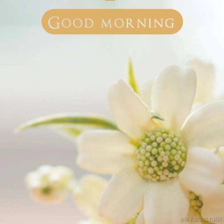 一口吃掉甜甜圈于2022-12-10 12:39发布的图片