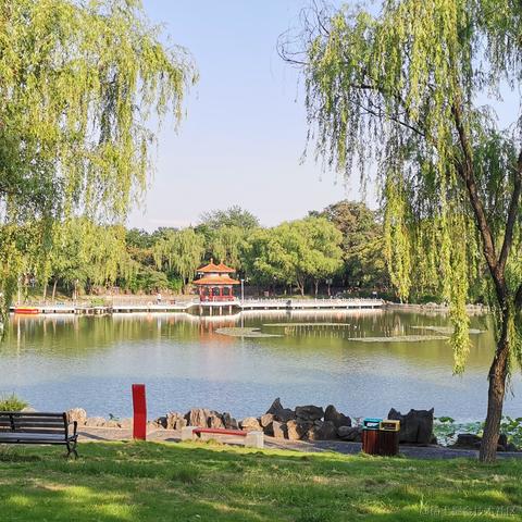 夏夜雨微凉于2023-05-27 08:09发布的图片