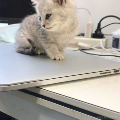 陇锦于2020-11-24 16:26发布的图片