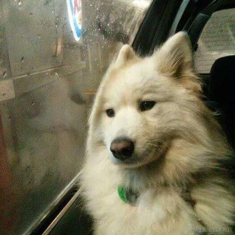 冬眠中于2022-12-02 16:05发布的图片