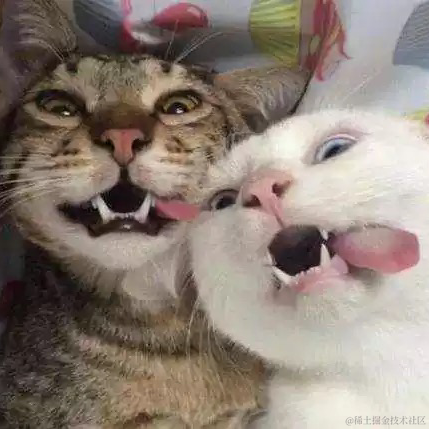 9997896于2021-11-30 16:40发布的图片