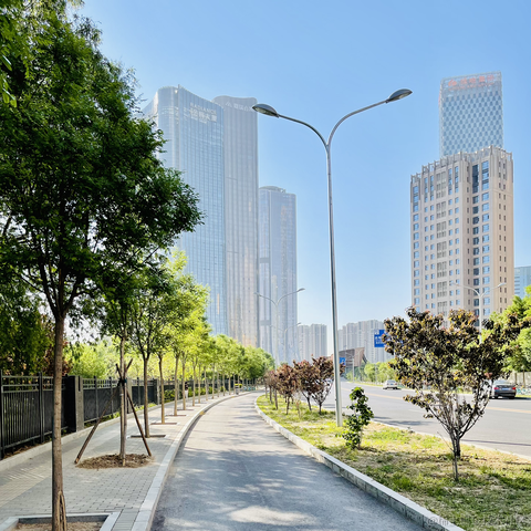 唐戴斯于2021-05-18 23:13发布的图片