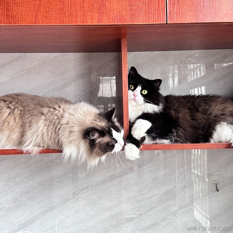 半夏1024于2024-06-05 13:37发布的图片