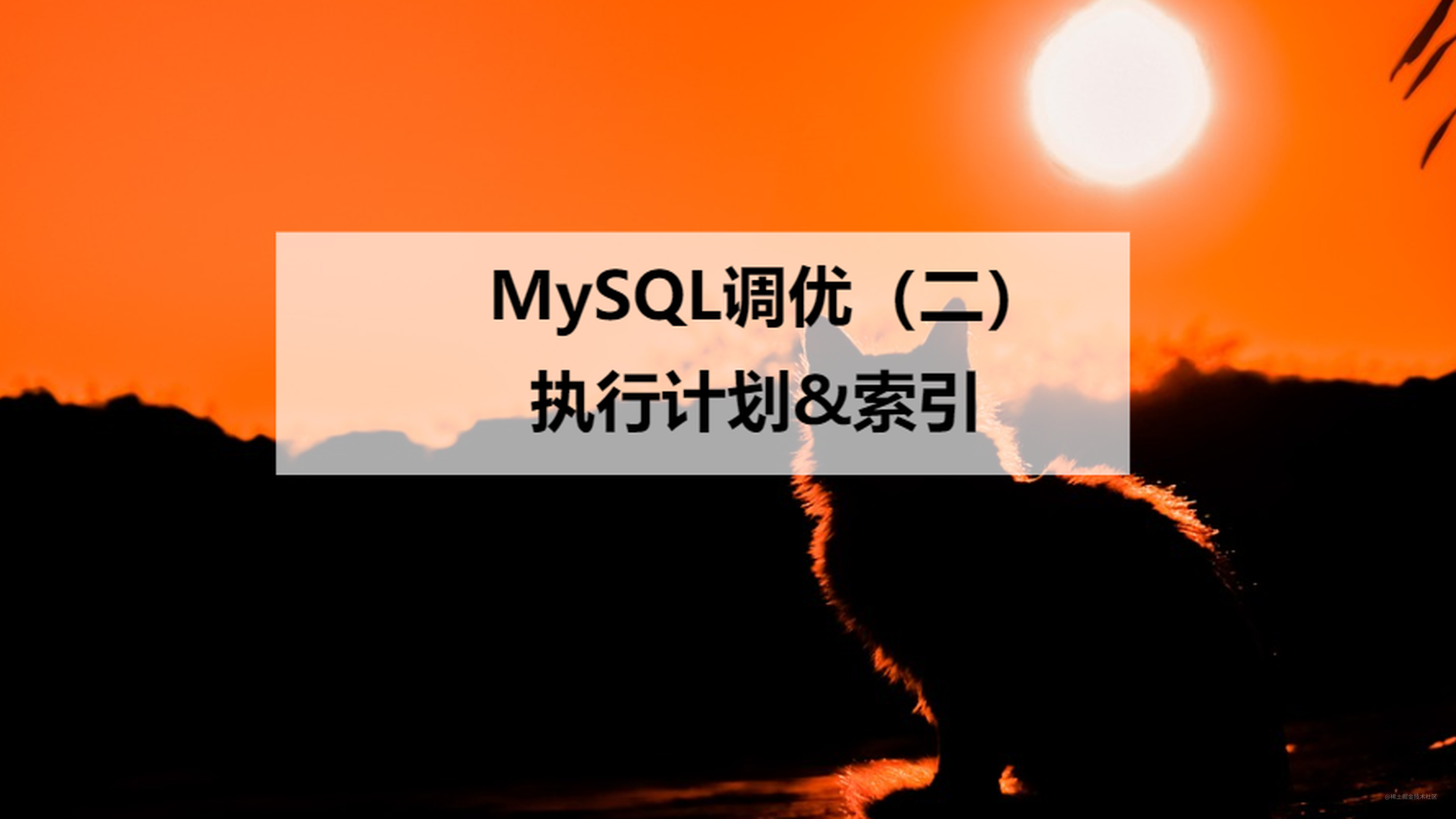 【调优向】MySQL调优必备-执行计划explain与索引数据结构推演