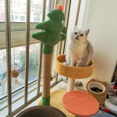 一光光一于2022-12-04 03:11发布的图片