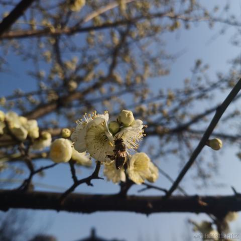 梦想实现家_Z于2023-02-14 15:43发布的图片