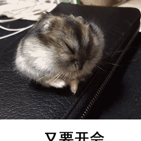 小时候不要丢下我于2023-07-05 20:47发布的图片