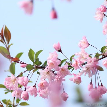 屿My于2021-04-02 16:42发布的图片