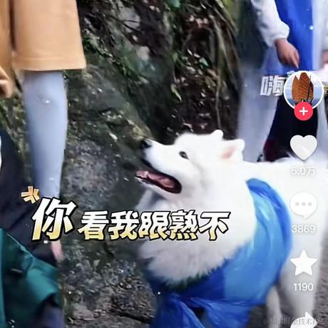 Masters于2023-07-28 05:54发布的图片