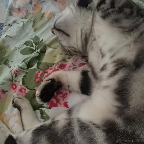 不熬夜多喝水于2023-05-18 14:29发布的图片