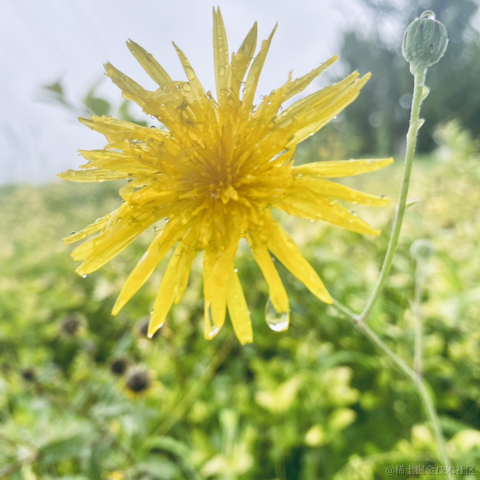 摄氏40度于2021-09-14 10:56发布的图片