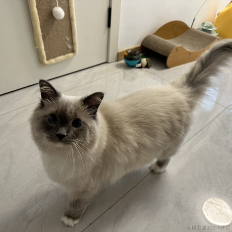 打你的修狗于2023-04-06 10:00发布的图片