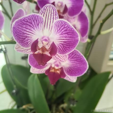 今天嘉晚饭387于2023-06-26 12:26发布的图片