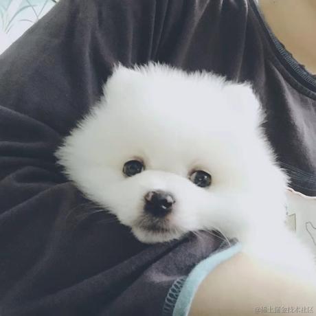 智能车企看板娘于2022-11-28 13:57发布的图片