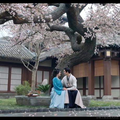 月季花于2022-12-01 08:04发布的图片