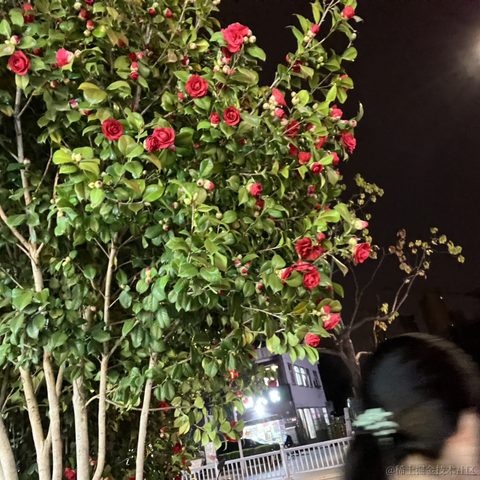 哇呀于2023-03-13 16:08发布的图片