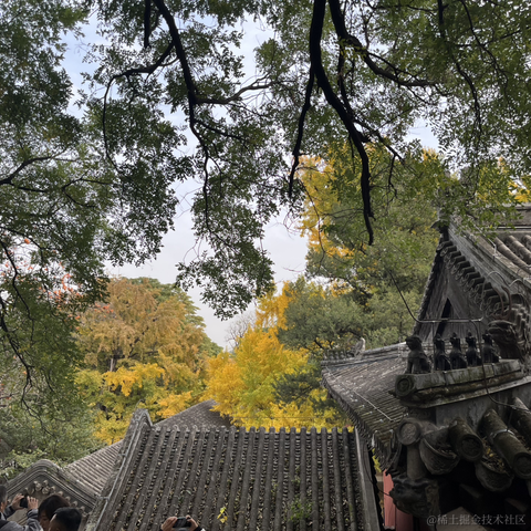 Yestodorrow于2023-11-11 12:52发布的图片
