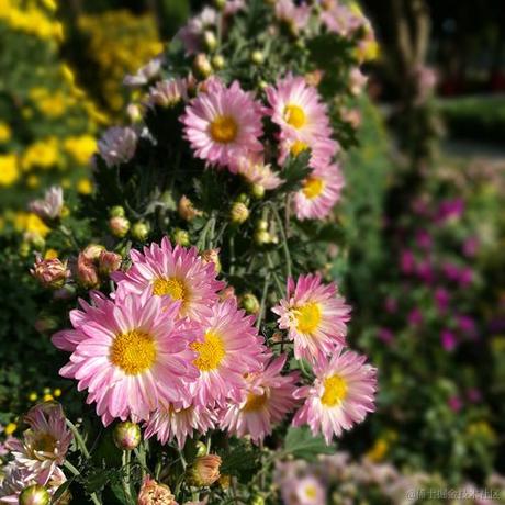 狂奔ing__蜗牛于2022-03-22 08:04发布的图片