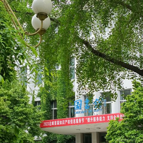 宵宵神七于2023-05-05 22:20发布的图片