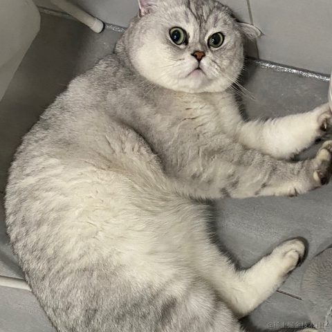 Lz_heng于2022-11-02 09:16发布的图片