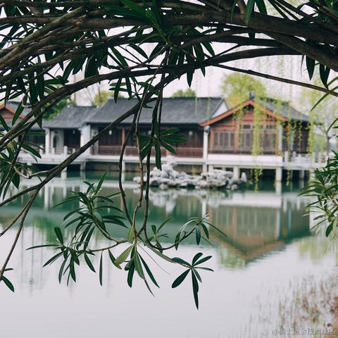 优秀稳妥的金枪小魔王于2023-03-27 10:41发布的图片