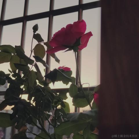 紫竹好好吃饭于2022-12-09 23:34发布的图片