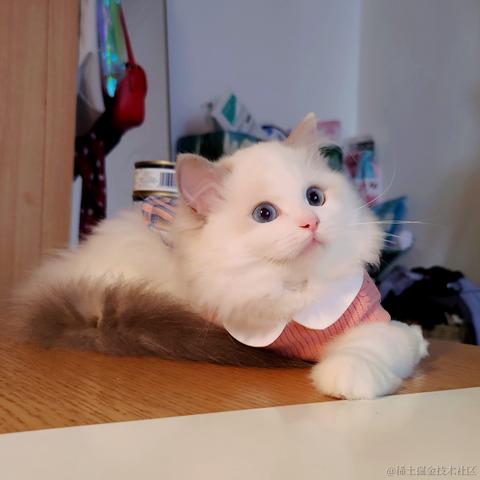 抖音开放平台于2021-10-28 14:21发布的图片