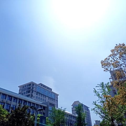 一只小明哈哈哈于2021-04-29 18:45发布的图片