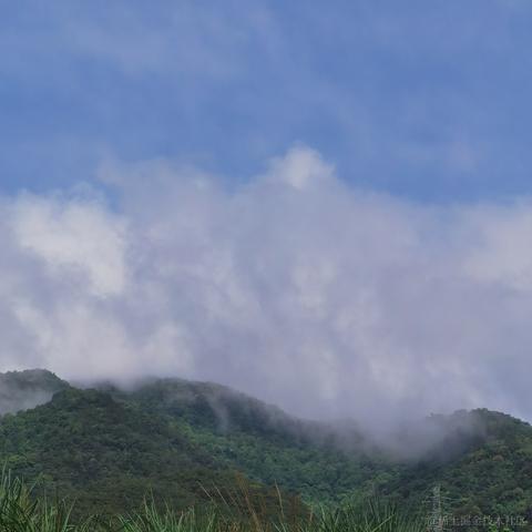 曼策于2023-04-19 12:40发布的图片