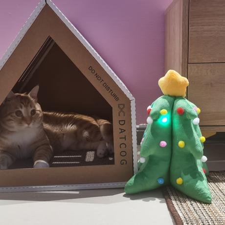 下凡冲浪辛苦了于2022-11-19 21:37发布的图片