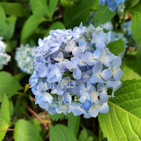 Sarah_于2024-05-17 10:12发布的图片