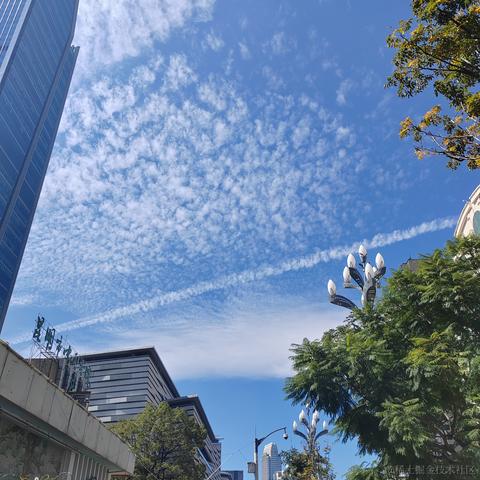 不及格大学士于2023-11-02 13:17发布的图片
