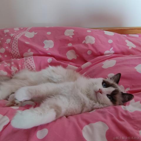 喜欢撸猫的帅伟于2022-03-02 08:53发布的图片