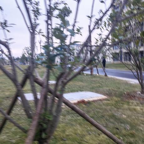 夜空的碎片于2022-12-01 07:36发布的图片