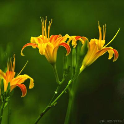 用户5411387223276于2021-04-13 14:51发布的图片