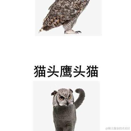 白帽子耗子于2022-03-03 08:55发布的图片