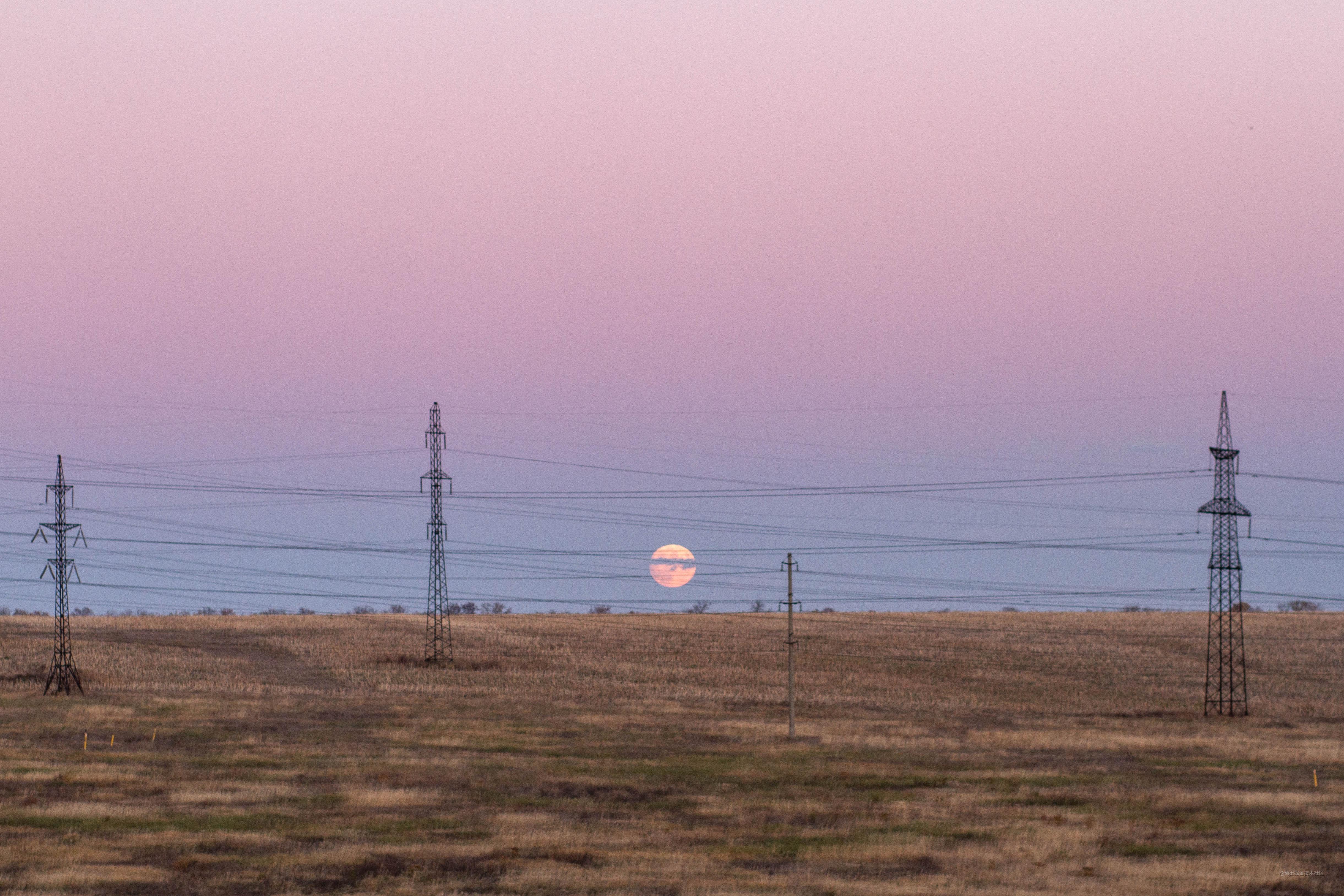 vue 从入门到跑路