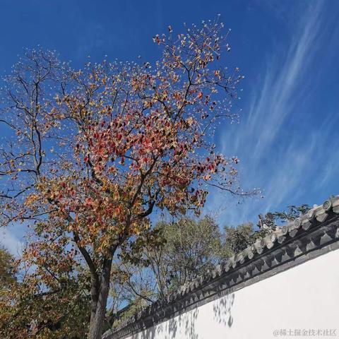 穹酱于2023-11-06 09:16发布的图片