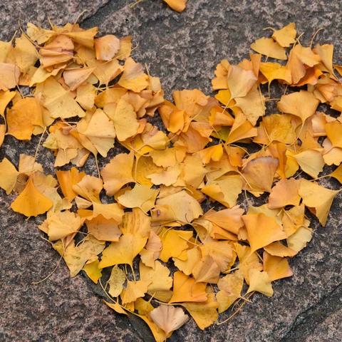 mayyyyyyyy于2022-11-15 16:03发布的图片