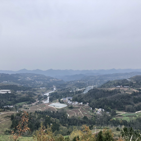 谭笨蛋于2022-12-01 19:59发布的图片