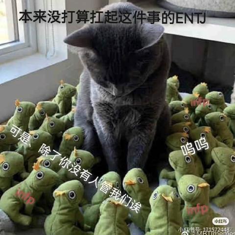 拉布拉多_于2023-05-31 15:17发布的图片