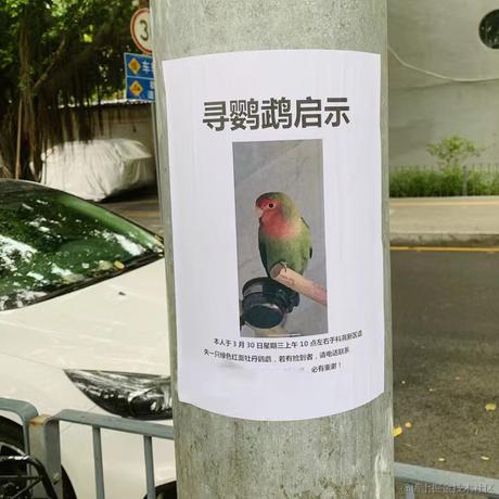 MLyao于2022-04-02 17:45发布的图片