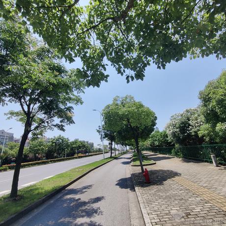後來于2023-06-10 11:08发布的图片