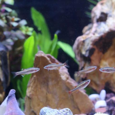 __momo__于2024-03-20 14:57发布的图片