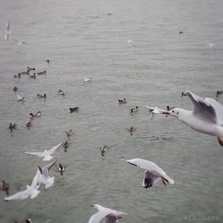 依家恰晚饭于2023-07-03 07:32发布的图片