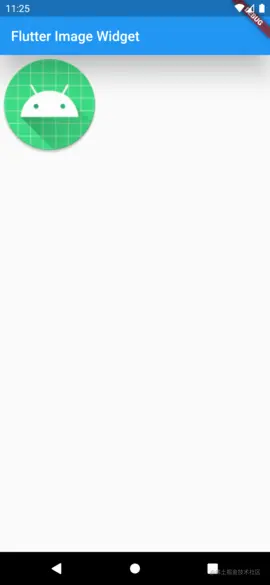 flutter_05.png